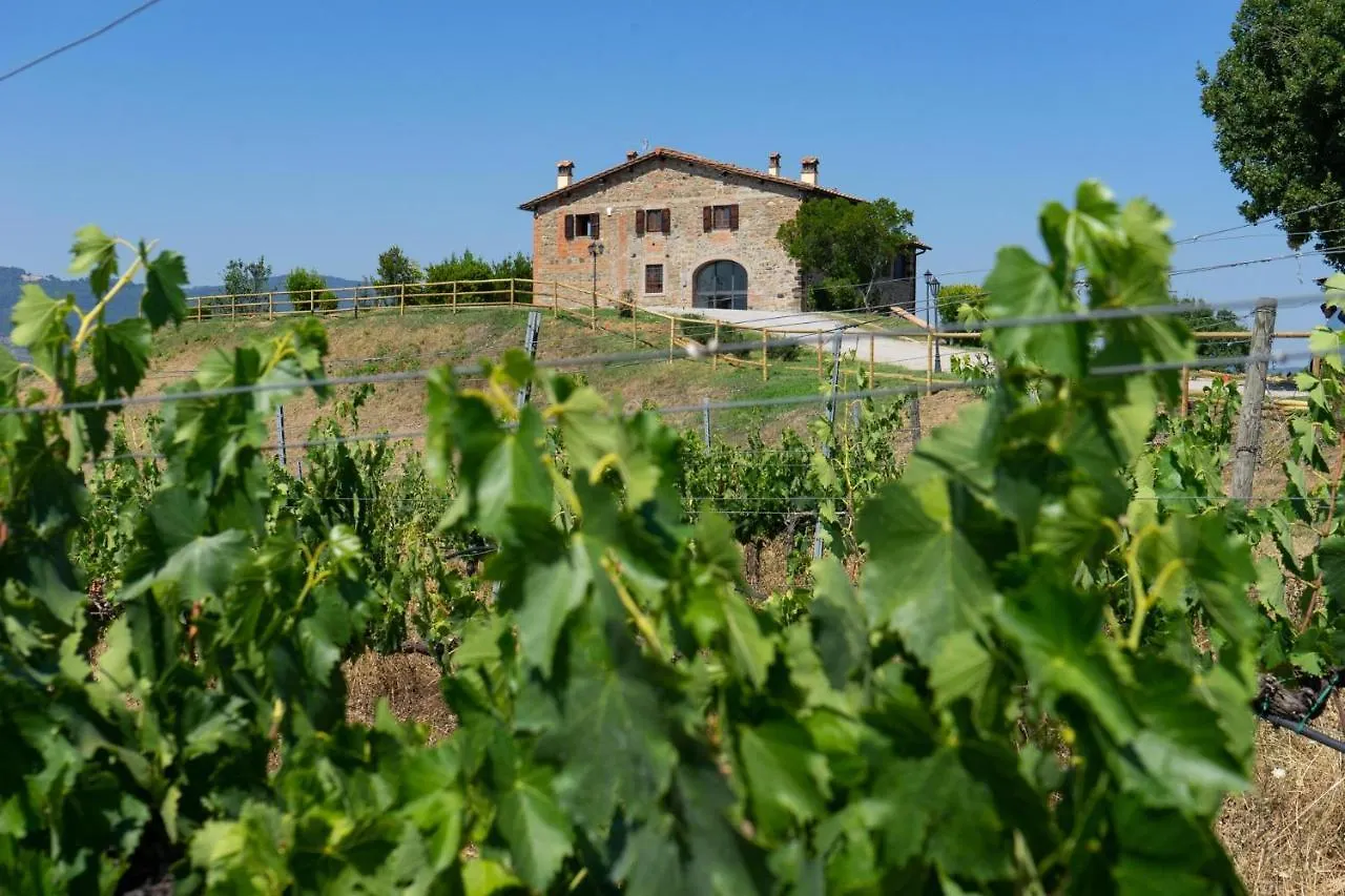 Tenuta Toscanita Villa Cavriglia Holiday home