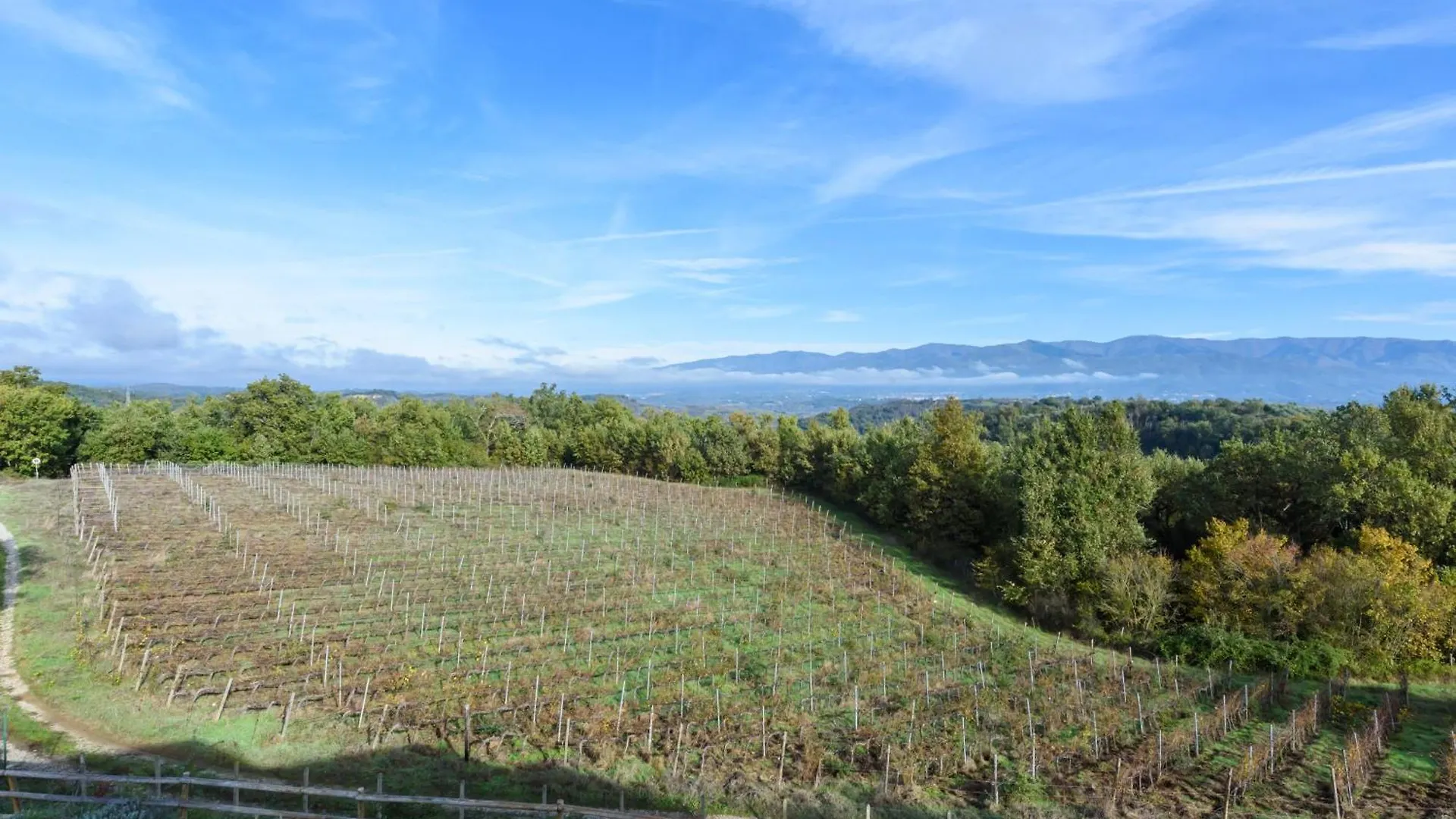 Tenuta Toscanita Villa Cavriglia